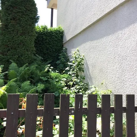 Lydiavi Vysoké Mýto