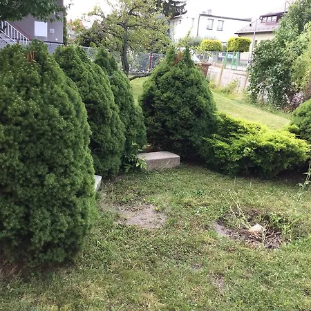 Lydiavi